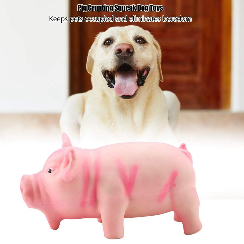 Pig Squeaky Dog Toy for Small Dogs