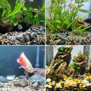 Decorative Rocks Stones For Aquarium