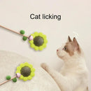 Interactive Teaser Wand with Catnip Ball for Cats