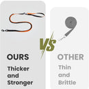 Flexible Bungee Leash For Dogs