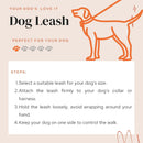 Flexible Bungee Leash For Dogs