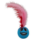 Pet Chasing Toy Feather Ball Cat Toy