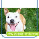 Pet Dental Care Kit for Dogs & Cats