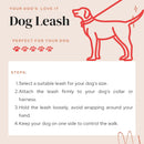 Flexible Bungee Leash For Dogs