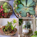 Decorative Rocks Stones For Aquarium