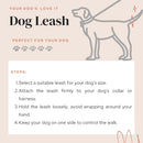 Flexible Bungee Leash For Dogs