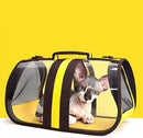 Portable Transparent Pet Carrier - Foldable Handbag for Cats & Puppies