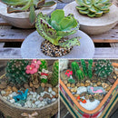 Decorative Rocks Stones For Aquarium