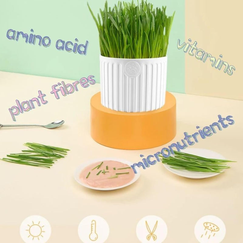 Grass Planter For Pets (Color May Vary)