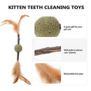 Silvervine Cat Chew Sticks with Catnip Ball And Feathers