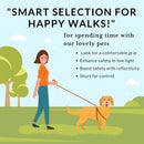 Training Leash For Medium & Large Dogs