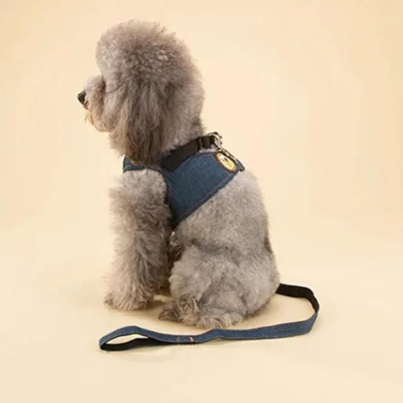 Harness For Pets (Small/Medium)