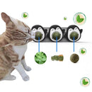 Mint Natural Healthy Teeth Cleaning Toy For Cats