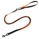 Flexible Bungee Leash For Dogs