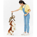 Plush Dog Toy Monkey Shape Playing Squeaky Toy