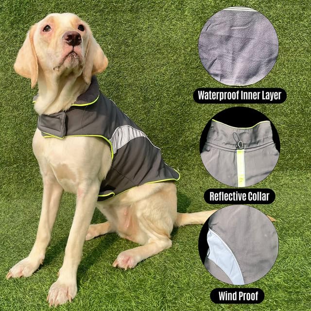 Waterproof Jacket for Small Breeds Dogs (Neon-Green)