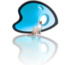 Hair Detailer Dog Hair Remover for Car & Home