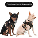 Mesh Harness And Leash Set For Small Medium Large Dogs