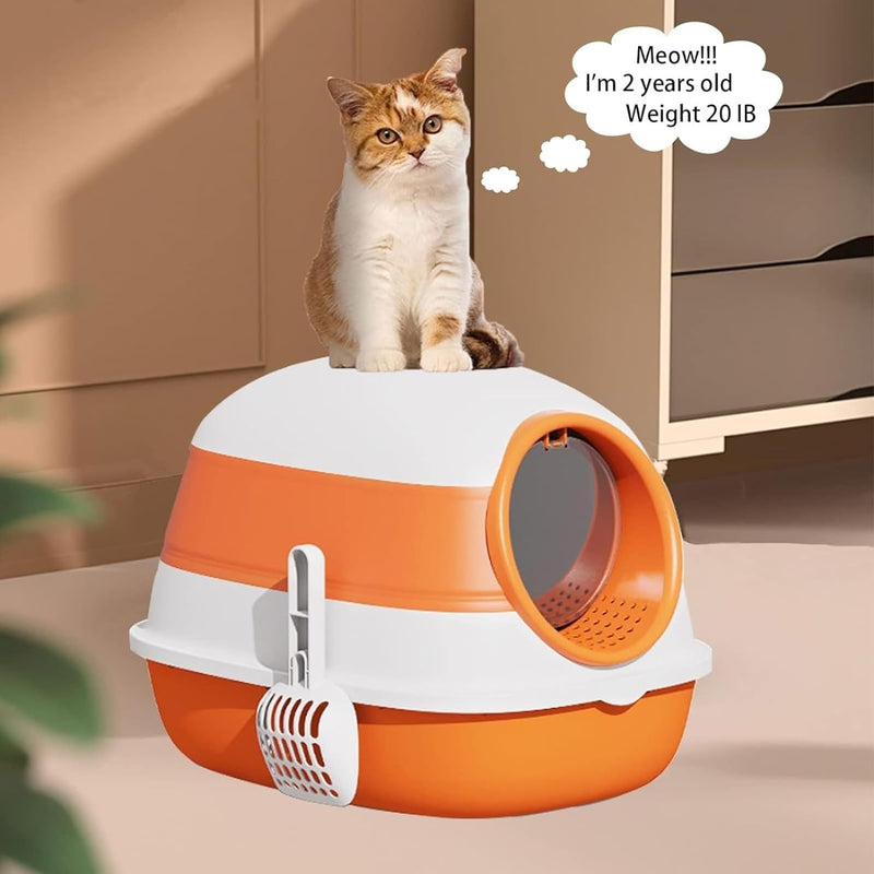 Cat Litter Box