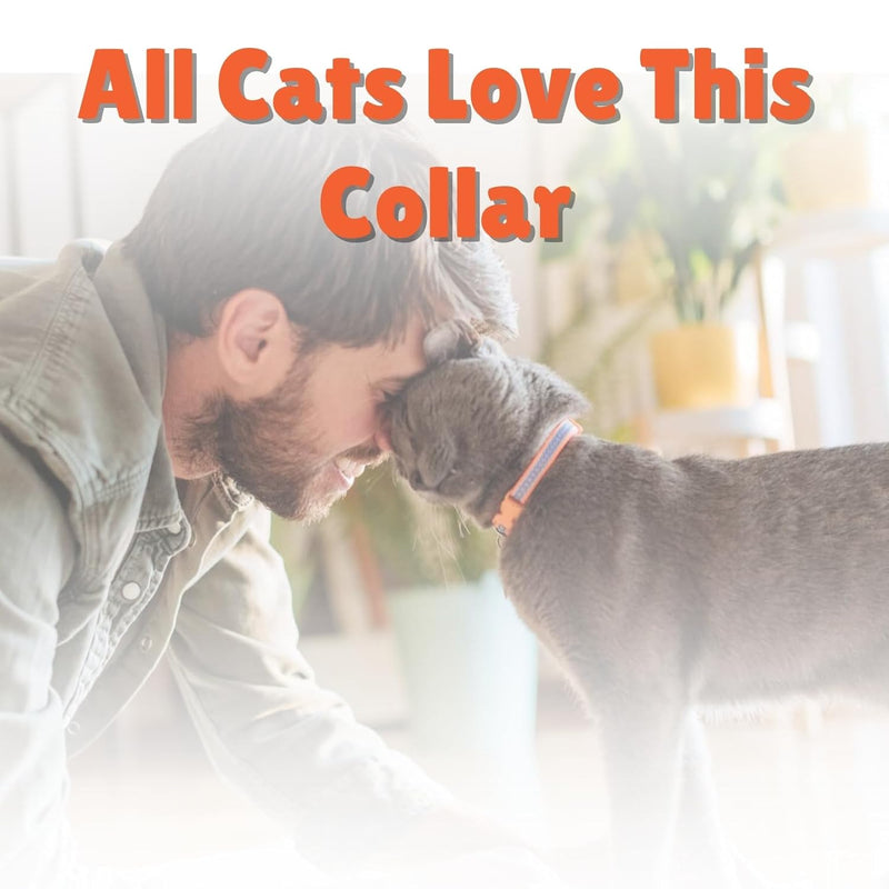 Collar For Cat (Color May Vary,1 Piece)