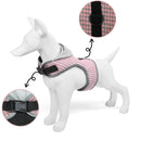 Adjustable Harnesses For Dogs