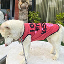 Summer T-shirt For Pets