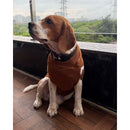 Winter Sweater For Dogs and Cats ( Light Brown )