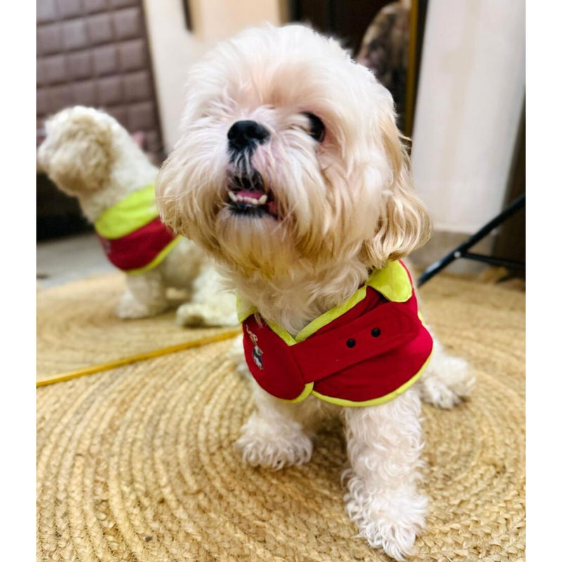 Pet Dog Cape Collar – Stylish Red