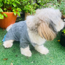 Winter Sweater For Dogs and Cats