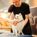 Wooden Handle Grooming Comb for Small & Medium Pets (Small)