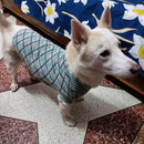 Winter Sweater For Dogs and Cats ( Sea Green )