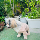 Winter Sweater For Dogs and Cats