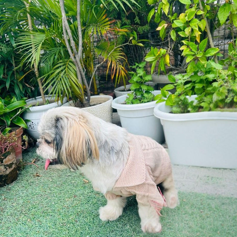 Winter Sweater For Dogs and Cats