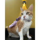 Cat Harness Dress with Bow