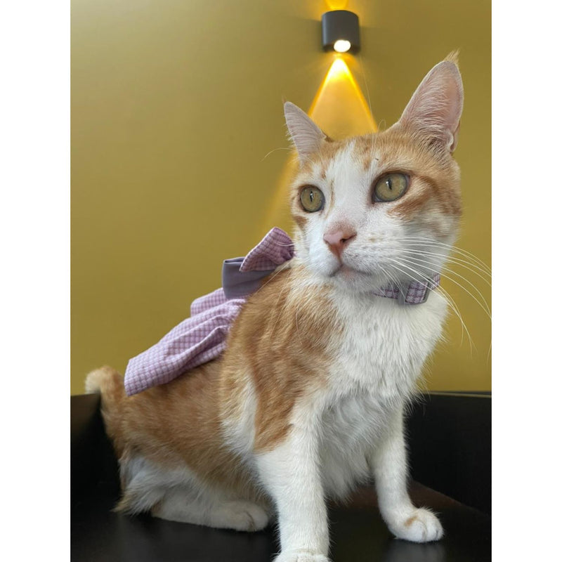 Cat Harness Dress with Bow