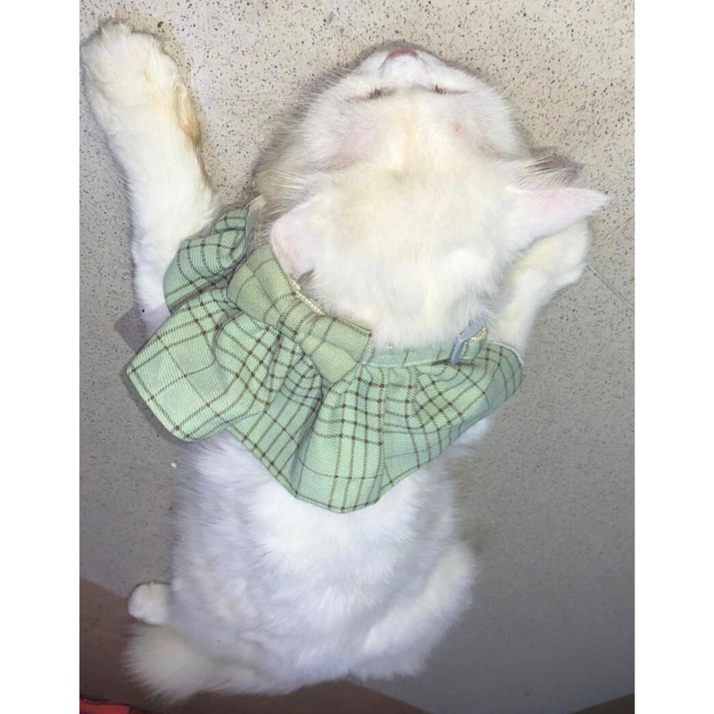 STYLISH Cat Bow Tie Collar