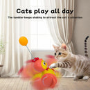 Tumbler Cat Toy for Indoor Cats
