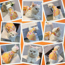 Floral Print Summer Frock for Dogs and Cats