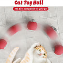 Interactive Cat Toy Ball for Indoor Cats