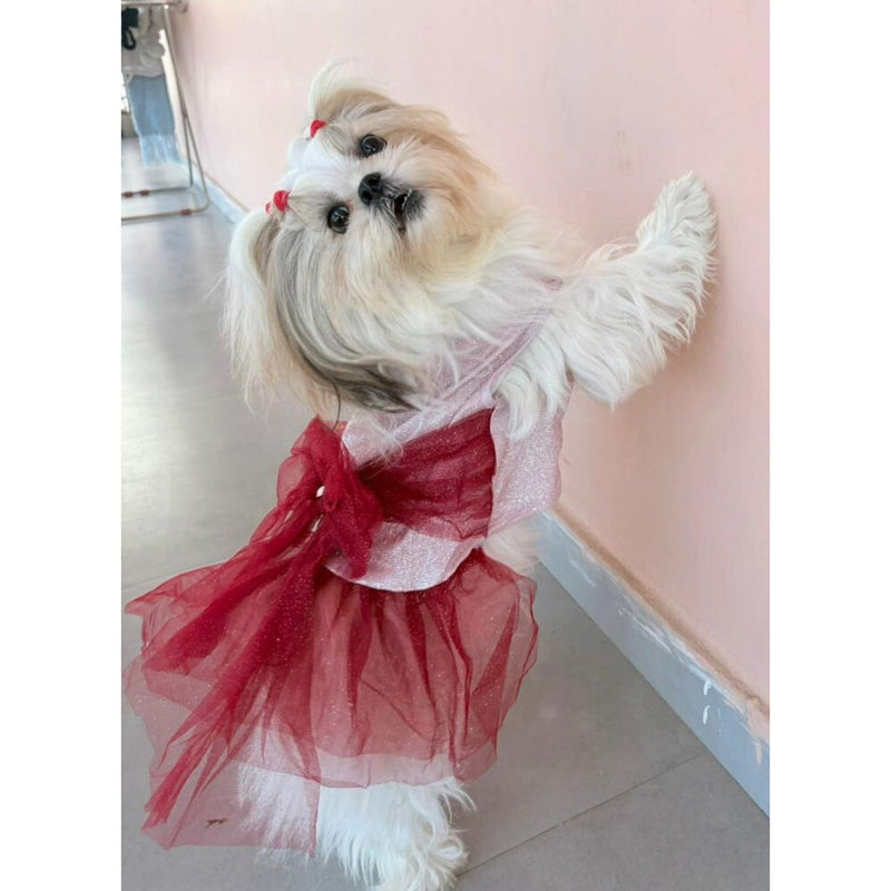 Dog Dress for Girls Dogs and Cats - Red Pink