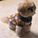 Winter Sweater For Dogs and Cats ( Grey/Orange )