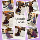 Waterproof Hooded Raincoat For Dog Cat