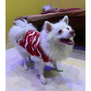 Winter Sweater For Dogs and Cats ( Red )
