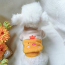 Premium Winter Clothes For Dog & Cat