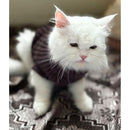 Winter Sweater For Dogs and Cats