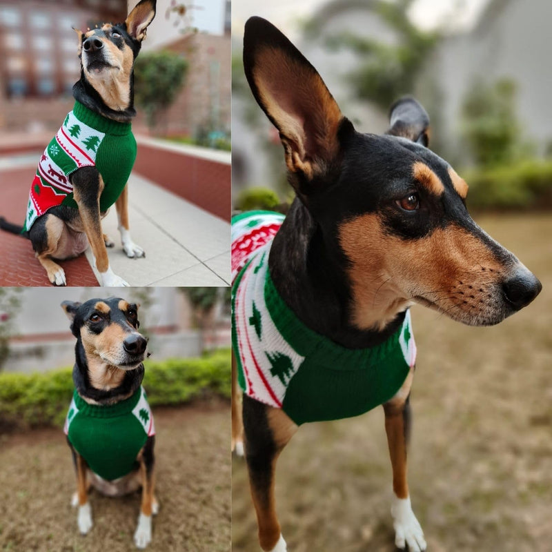 Winter Sweater For Dogs and Cats