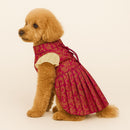 Ethnic Golden Dress with Ruffled Sleeves For Female Dogs