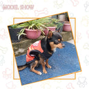 Summer T-shirt For Pets