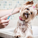 Toothbrush Kit For Pets (2pcs)