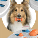 Interactive Puzzle Toy For Pets